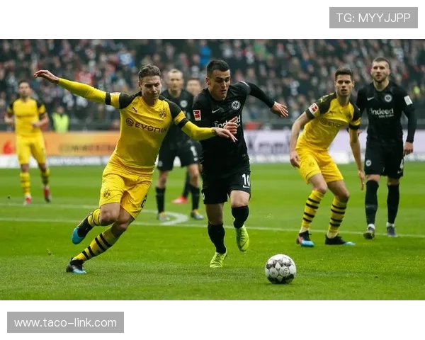 德甲新赛季阵容解析，球队实力走势清晰，谁将争夺冠军宝座