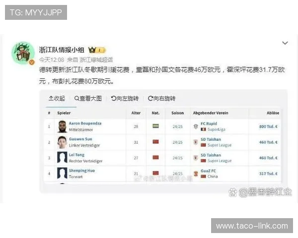 德甲球队阵容调整纪录：本赛季转会操作与战术变化分析