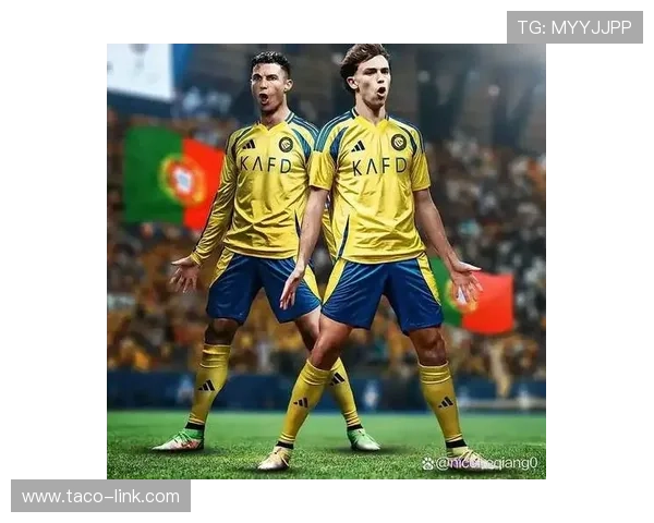 国家队关键战：菲利克斯在国际赛场的表现